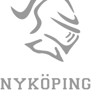 Nyköping Knights